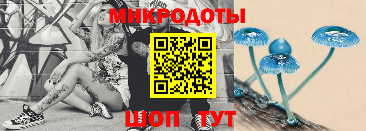 Псилоцибиновые грибы Magic Shrooms Качканар