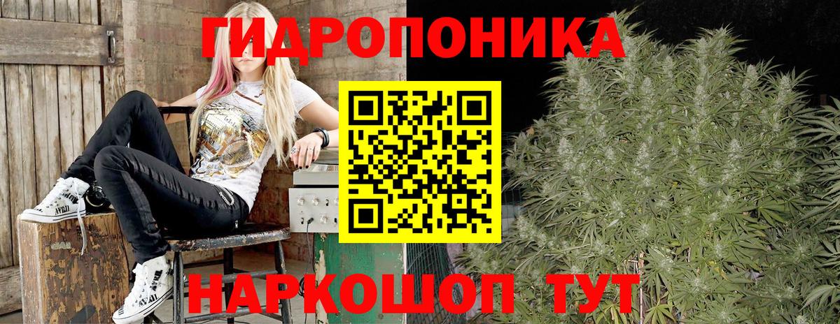 Шишки марихуана план  Бошки марихуана AK-47  Качканар  Вход с VPN  Бошки марихуана ГИДРОПОН 